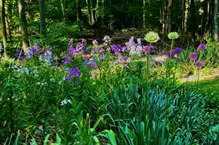 9 Spaulding Rd, Shirley, MA 01464 - Photo 38