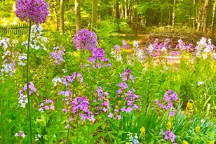 9 Spaulding Rd, Shirley, MA 01464 - Photo 40