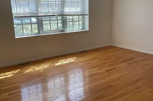 166 Lake Shore, Boston, MA 02135 - Photo 4