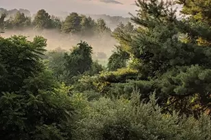 121 Rocky Hill Rd, Hadley, MA 01035 - Photo 34