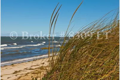 100 Fletcher Ln #C, Brewster, MA 02631 - Photo 20