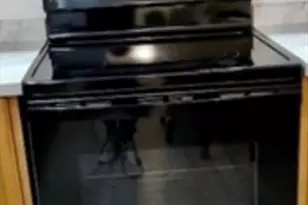 9 Circuit, Worcester, MA 01603 - Photo 8