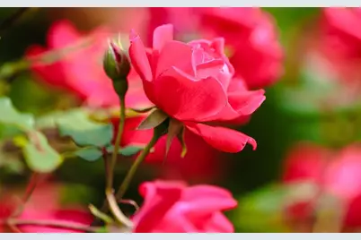 534 Boston St, North Andover, MA 01845 - Photo 26