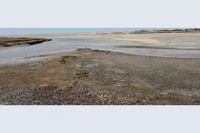 15 Jonquil Rd, Yarmouth, MA 02675 - Photo 34