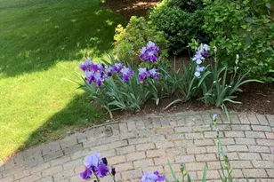 11 Longmeadow Way, Acton, MA 01720 - Photo 30