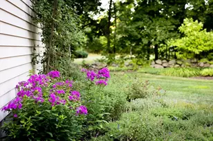 521 Barretts Mill Rd, Concord, MA 01742 - Photo 38