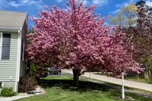 3 Lynne Rd, Wareham, MA 02571 - Photo 38