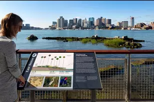 45 Lewis St, Boston, MA 02128 - Photo 40