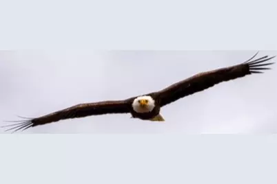 15 Riverview Ave #D, Mashpee, MA 02469 - Photo 30