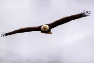 15 Riverview Ave, Mashpee, MA 02469 - Photo 30