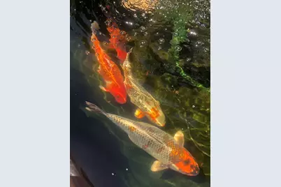 8 Rockcliff Rd #B, Marblehead, MA 01945 - Photo 22