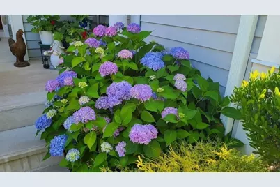 35 Greenside Ln #35, Acton, MA 01720 - Photo 28