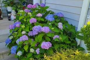 35 Greenside Ln, Acton, MA 01720 - Photo 28