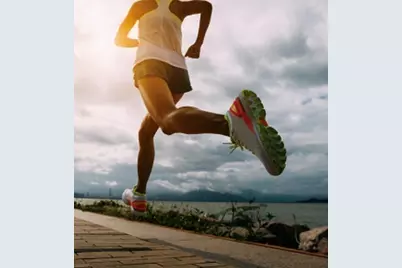 33 Pond Avenue #1202, Brookline, MA 02445 - Photo 18