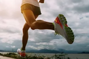 33 Pond Ave, Brookline, MA 02445 - Photo 18