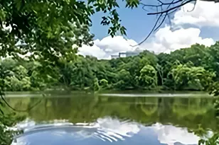 33 Pond Ave, Brookline, MA 02445 - Photo 20