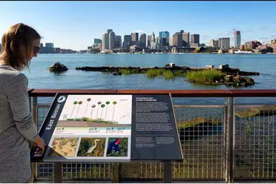 65 Lewis St #511, Boston, MA 02128 - Photo 40