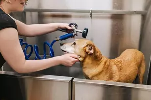 65 Lewis St, Boston, MA 02128 - Photo 28