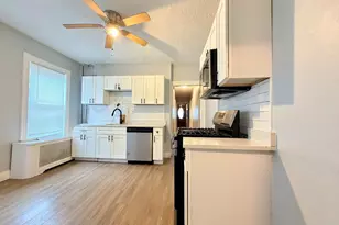 18 Harold Park, Boston, MA 02119 - Photo 20