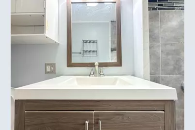 18 Harold Park #1, Boston, MA 02119 - Photo 30