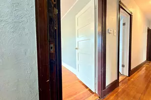 18 Harold Park, Boston, MA 02119 - Photo 4