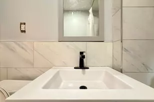 18 Harold Park, Boston, MA 02119 - Photo 16