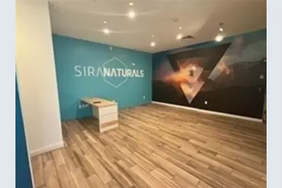 29 Franklin St, Needham, MA 02494 - Photo 6