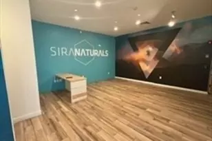 29 Franklin St, Needham, MA 02494 - Photo 6