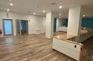 29 Franklin St, Needham, MA 02494 - Photo 8