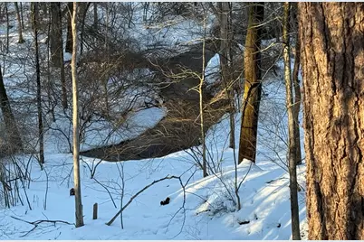 74 Prynne Ridge Rd, Longmeadow, MA 01106 - Photo 8