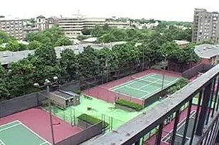 33 Pond Ave, Brookline, MA 02445 - Photo 12