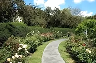 85 Park Dr, Boston, MA 02215 - Photo 8