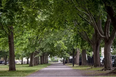 99 Washington Street #21, Salem, MA 01970 - Photo 16