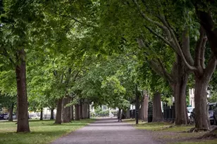 99 Washington St, Salem, MA 01970 - Photo 16