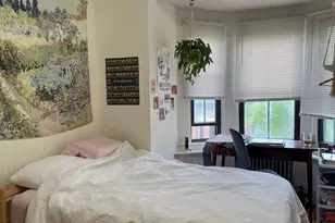 17 Worthington St, Boston, MA 02120 - Photo 6