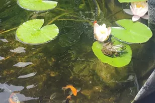 857 South St, Bridgewater, MA 02324 - Photo 6