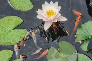 857 South St, Bridgewater, MA 02324 - Photo 10