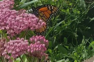 857 South St, Bridgewater, MA 02324 - Photo 12