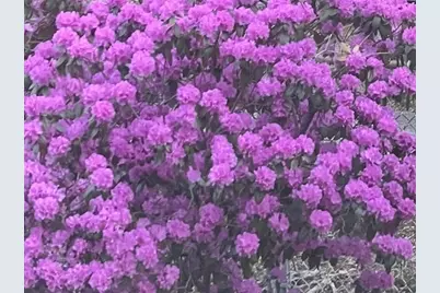 23 Germain St, Worcester, MA 01602 - Photo 40