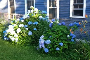 23 Germain St, Worcester, MA 01602 - Photo 38