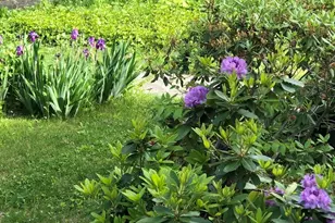 23 Germain St, Worcester, MA 01602 - Photo 38