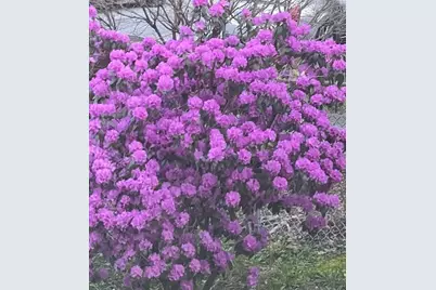 23 Germain St, Worcester, MA 01602 - Photo 38