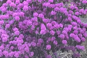 23 Germain St, Worcester, MA 01602 - Photo 38