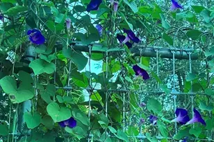 23 Germain St, Worcester, MA 01602 - Photo 38