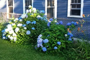 23 Germain St, Worcester, MA 01602 - Photo 38