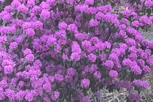 23 Germain St, Worcester, MA 01602 - Photo 40