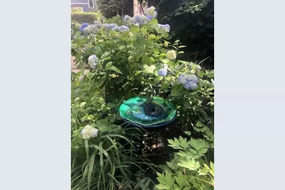 1083 Walnut St, Newton, MA 02461 - Photo 36