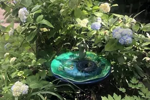 1083 Walnut St, Newton, MA 02461 - Photo 36