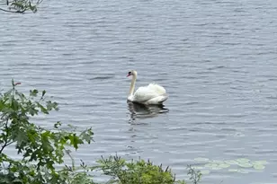 144 Lake Shore Dr, Weymouth, MA 02189 - Photo 24