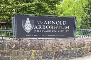 29 Goldsmith St, Boston, MA 02130 - Photo 20